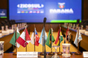 Curitiba, 23 de outubro de 2025 - Sessão plenária da Zicosul (por videoconferência).