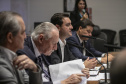 Curitiba, 23 de outubro de 2025 - Sessão plenária da Zicosul (por videoconferência).