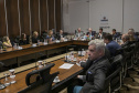 Curitiba, 23 de outubro de 2025 - Sessão plenária da Zicosul (por videoconferência).