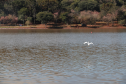 Instituto Água e Terra (IAT) emitiu a licença ambiental que autoriza o início da primeira fase da revitalização do Território Verde, em Cascavel, no Oeste do Paraná