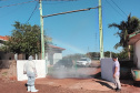 Adapar realiza ações de biosseguridade em granjas  avícolas em todo o Paraná