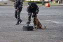Inscrições para a 1ª Cãocorrida da Companhia com Cães da PMPR encerram nesta segunda (20)