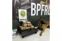 Operação Scutum Limes: PMPR reforça fronteira e gera prejuízo milionário ao crime