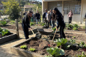 Hortas nutrem novos saberes e escolhas saudáveis nas escolas da rede pública do Paraná
