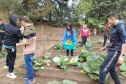 Hortas nutrem novos saberes e escolhas saudáveis nas escolas da rede pública do Paraná