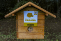 MON recebe três casas de abelhas nativas do Projeto Poliniza Paraná