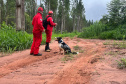 CBMPR realiza 2ª Certificação Nacional de Cães de Busca e Resgate em Cianorte