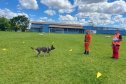 CBMPR realiza 2ª Certificação Nacional de Cães de Busca e Resgate em Cianorte