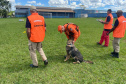 CBMPR realiza 2ª Certificação Nacional de Cães de Busca e Resgate em Cianorte