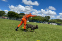 CBMPR realiza 2ª Certificação Nacional de Cães de Busca e Resgate em Cianorte