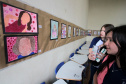 SEEC - CJAP encerra projeto Arte no Paraná contemplando mais de 500 alunos