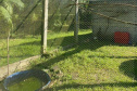 Pronto Atendimento a Animais Silvestres (PAAS) do Parque Estadual do Palmito, em Paranaguá, é referência no atendimento à fauna silvestre