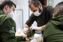 Pronto Atendimento a Animais Silvestres (PAAS) do Parque Estadual do Palmito, em Paranaguá, é referência no atendimento à fauna silvestre
