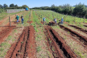 Programa de apoio à viticultura completa seis anos e beneficia mais de 400 produtores familiares