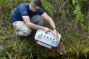 Técnicos do Instituto Água e Terra (IAT) fizeram a soltura de seis pássaros no Litoral do Paraná.