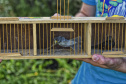 Técnicos do Instituto Água e Terra (IAT) fizeram a soltura de seis pássaros no Litoral do Paraná.