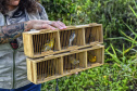 Técnicos do Instituto Água e Terra (IAT) fizeram a soltura de seis pássaros no Litoral do Paraná.
