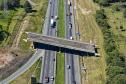 Estado vai concluir obra de viaduto inacabado há 30 anos em São José dos Pinhais