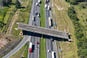 Estado vai concluir obra de viaduto inacabado há 30 anos em São José dos Pinhais