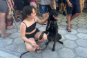 Cães da Polícia Penal reforçam segurança no litoral durante o Verão Maior Paraná