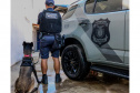 Cães da Polícia Penal reforçam segurança no litoral durante o Verão Maior Paraná
