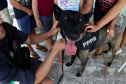 Cães da Polícia Penal reforçam segurança no litoral durante o Verão Maior Paraná