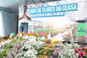 MERCADO DAS FLORES CEASA