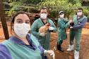 Adapar realiza ações do ciclo de vigilância ativa para Influenza Aviária e  Doença de Newcastle no Paraná