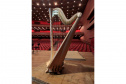 Orquestra Sinfônica do Paraná recebe nova harpa italiana Salvi