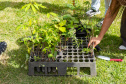 Estudantes plantam cinturão verde em São José dos Pinhais