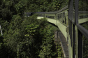Trem turístico da Serra do Mar paranaense celebra 5 milhões de passageiros nesta sexta
