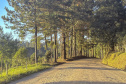 UNIÃO DA VITÓRIA - ESTRADA