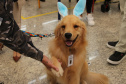 SESA - Hospital de Reabilitação inicia projeto de terapia com cães da Polícia Militar