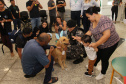 SESA - Hospital de Reabilitação inicia projeto de terapia com cães da Polícia Militar