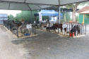 EXPOMARINGÁ
