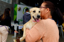 Atendimentos do Vet-Móvel Paraná começam na segunda-feira (1º); veja como se inscrever