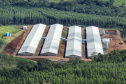 SÃO JOSÉ DAS PALMEIRAS - UNIDADE COOPERATIVA LAR