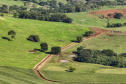 OURO VERDE DO  OESTE