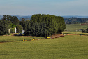 OURO VERDE DO  OESTE