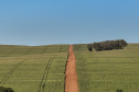 OURO VERDE DO  OESTE