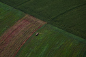 BRDE - Webinar orienta empresas sobre como participar do programa Nexus de inovação no agro