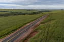 FRANCISCO ALVES - ESTRADA RURAL BARRO PRETO