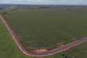 FRANCISCO ALVES - ESTRADA RURAL BARRO PRETO
