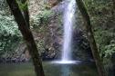 Núcleo Cercado, em Palmeira, nos Campos Gerais.