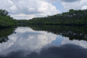 Maciel, em Pontal do Paraná, no Litoral.