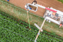 Copel agro completa um mês com 25 mil atendimentos e 95,4% de satisfação dos clientes
