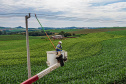 Copel agro completa um mês com 25 mil atendimentos e 95,4% de satisfação dos clientes