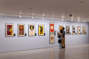 Últimos dias da exposição “Sonhos de Cinema Arte para a Sétima Arte” no MON