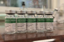 SESA - Paraná aplica 1,5 milhão de doses da vacina contra gripe e convoca população para reta final da campanha