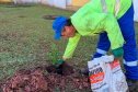 Hospital Infantil de Campo Largo ganha floresta terapêutica para auxiliar na recuperação de crianças